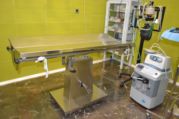 Centro Veterinario JAVET