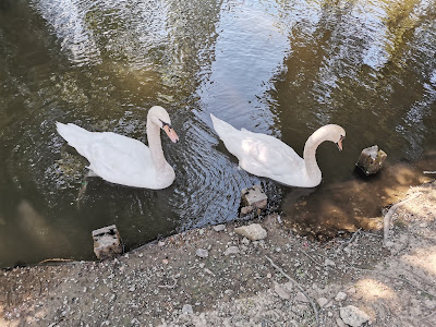 Parc pour enfants à Toulouges