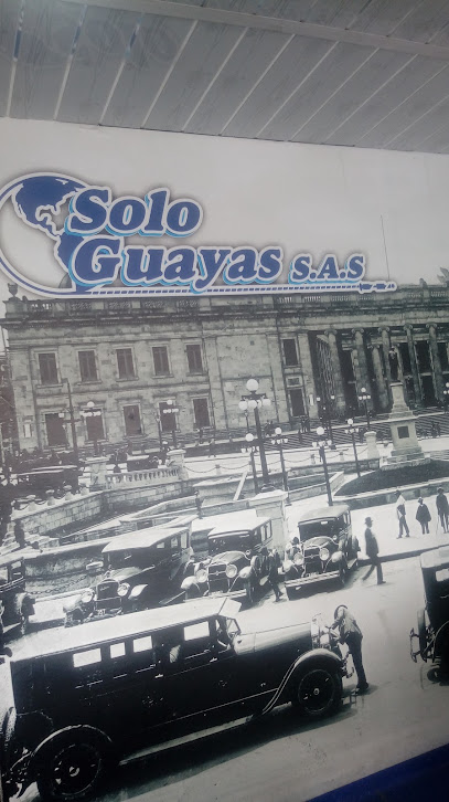 Almacén Taller Solo Guayas s.a.s