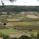 Photo n°4 de l'avis de Francesco.a fait le 23/05/2017 à 12:23 sur le  Osteria Antichi Sapori à Fasano