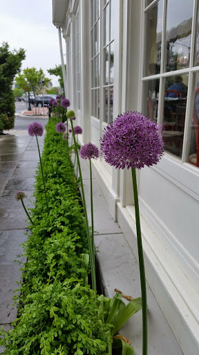 Hotel «Congress Hall», reviews and photos, 200 Congress Pl, Cape May, NJ 08204, USA