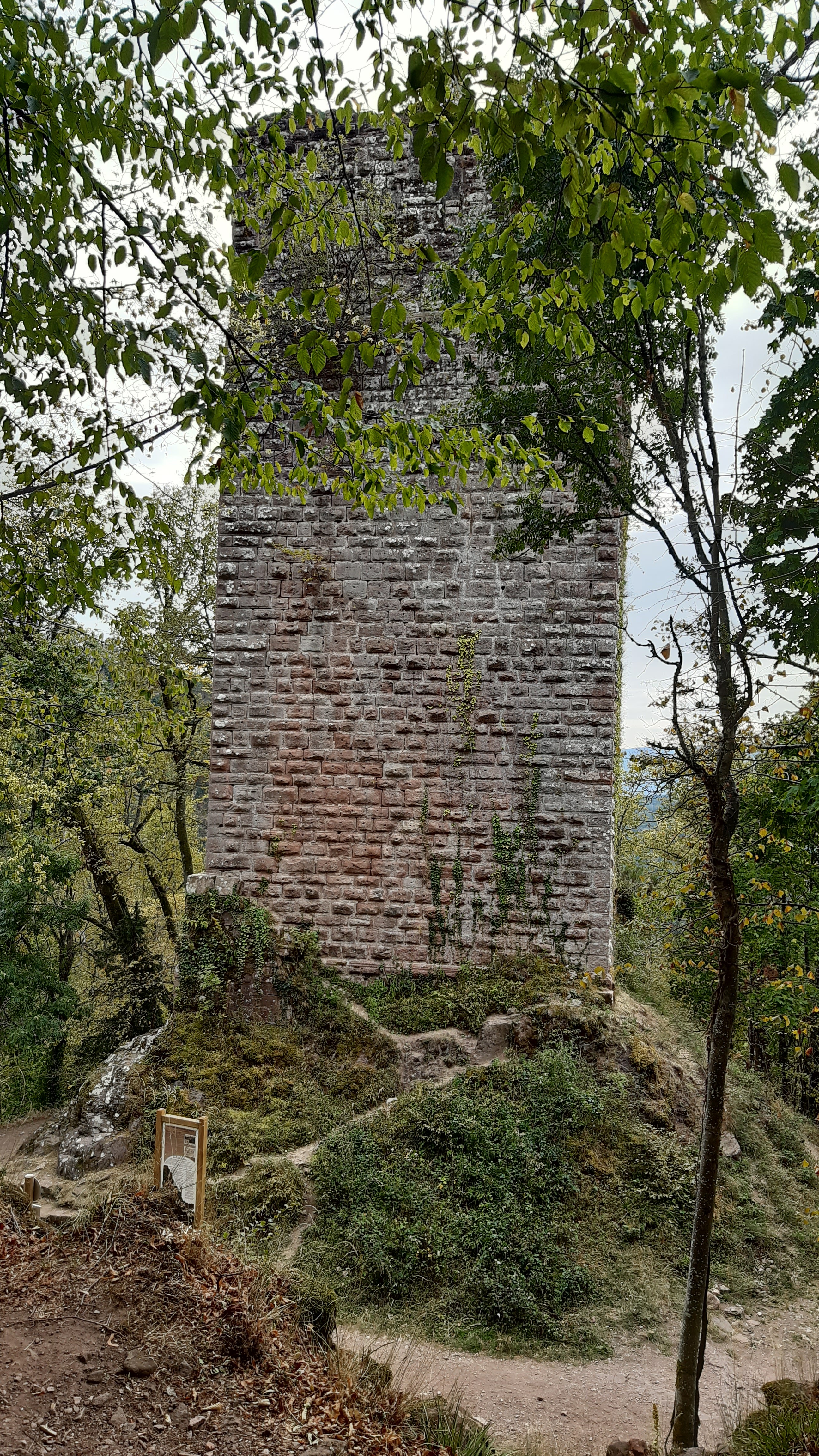 Photo n° 2 de l'avis de gilbert.e fait le 19/11/2019 à 22:10