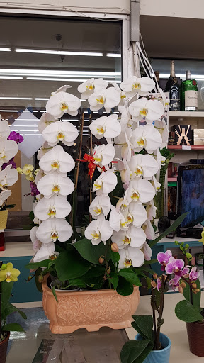 Supermarket «Arcadia Super Market», reviews and photos, 645 W Duarte Rd, Arcadia, CA 91007, USA