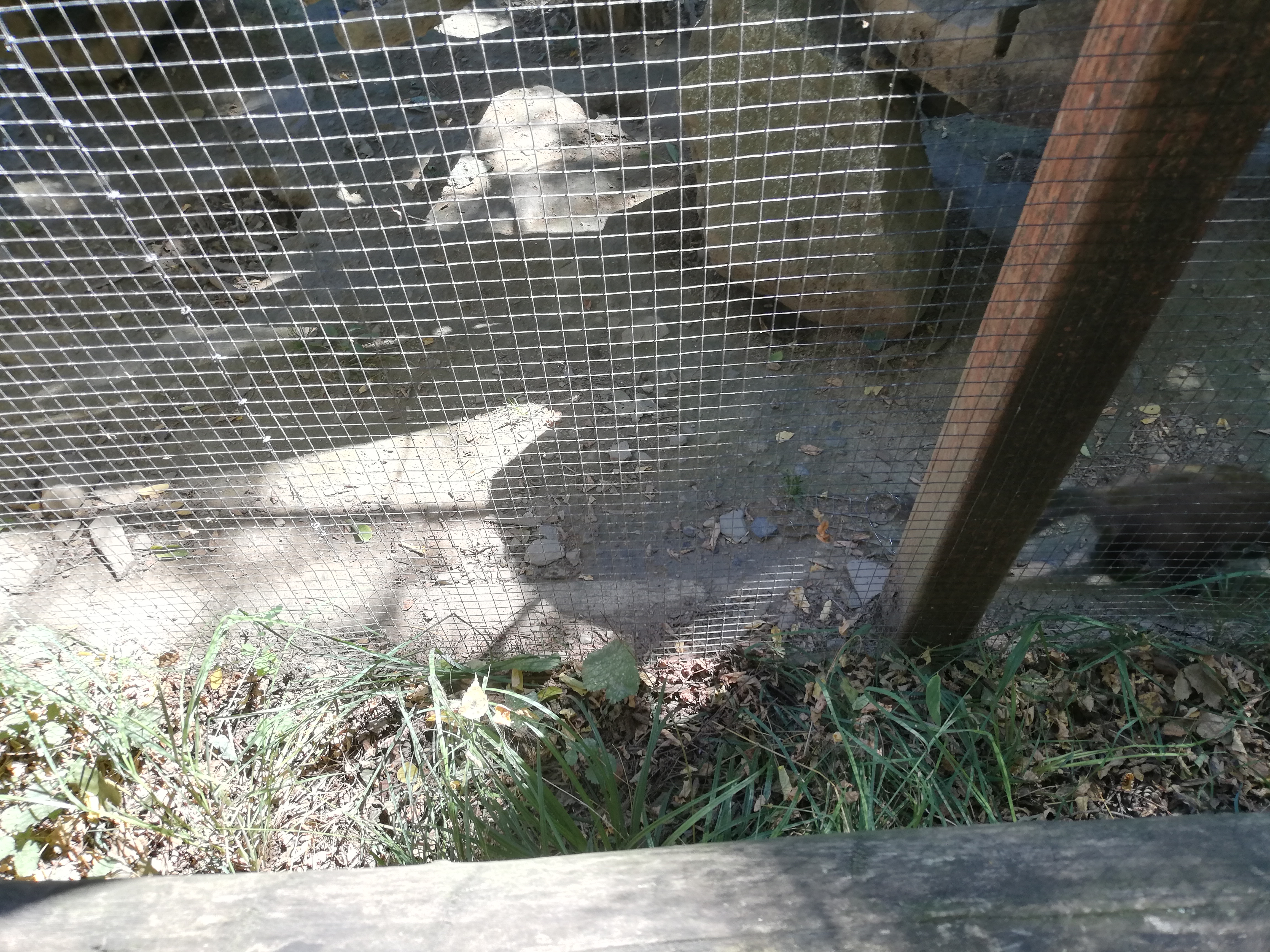 Photo n° 44 de l'avis de Soleil. fait le 20/08/2020 à 12:36