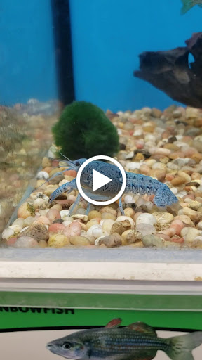 Pet Supply Store «Pet Supplies Plus», reviews and photos, 1970 Portage Trail, Cuyahoga Falls, OH 44223, USA