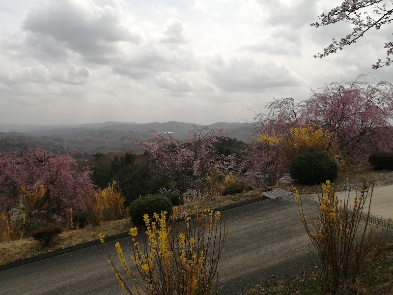 たかうね桜の森公園