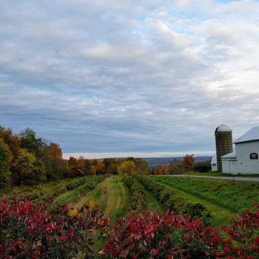 Winery «Hummingbird Hills Winery», reviews and photos, 1442 Burtonville Rd, Fultonville, NY 12072, USA