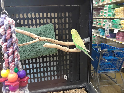 Pet Supply Store «PetSmart», reviews and photos, 2201 Gallatin Pike N, Madison, TN 37115, USA