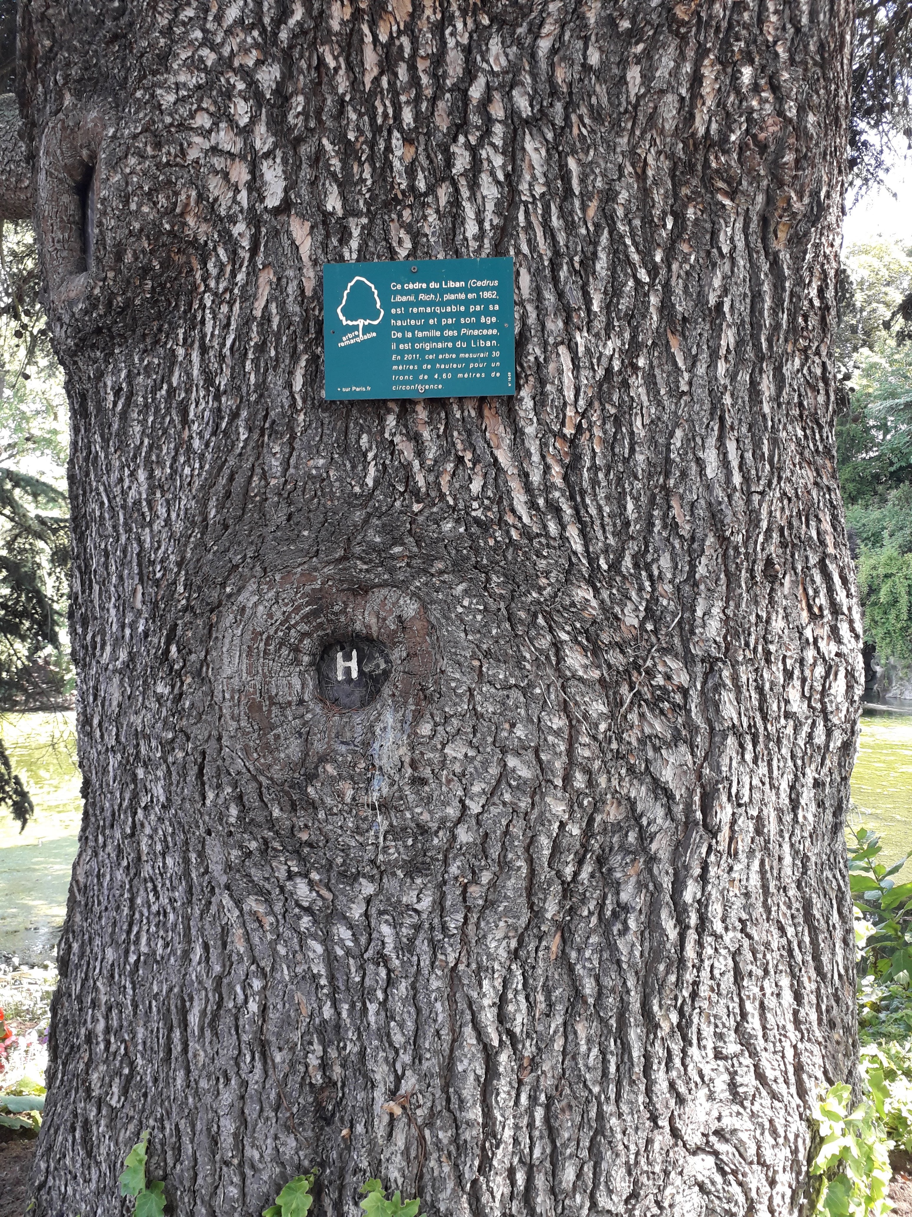 Photo n° 5 de l'avis de Ali.h fait le 15/10/2019 à 15:52