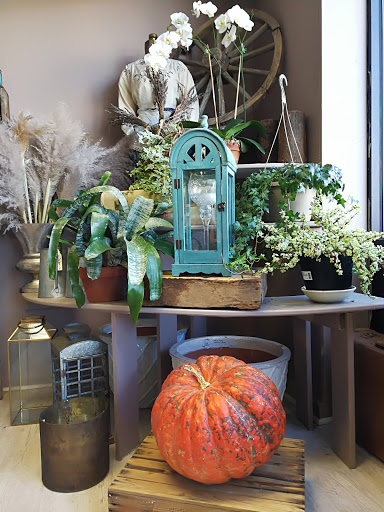 Florist «Galleria Florist», reviews and photos, 7187 Lee Hwy, Falls Church, VA 22046, USA