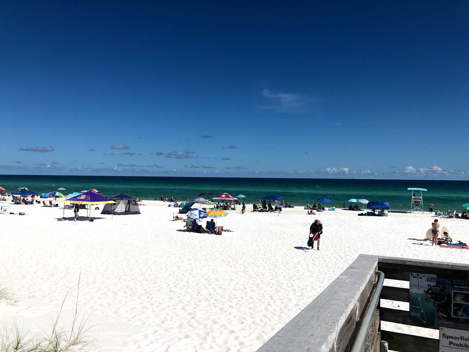 Perdido key beach photo #7