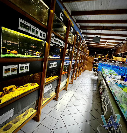 Weber Aquaristik & Gartenteich unter Sinzig, 