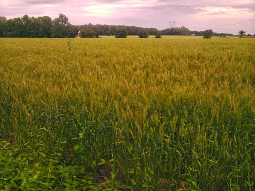 Criminal Justice Attorney «Andrew Flusche, Attorney at Law», reviews and photos