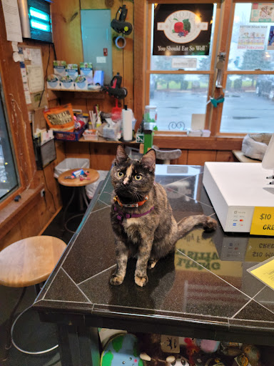 Pet Store «Living Pawsitively», reviews and photos, 39 NJ-15, Lafayette Township, NJ 07848, USA