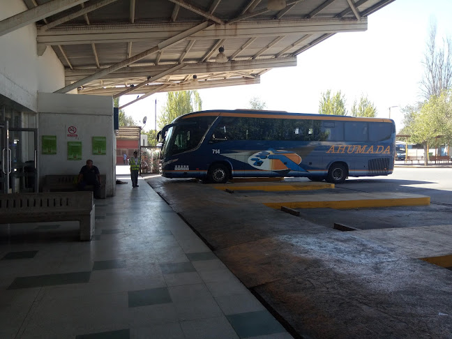 Opiniones de Terminal Rodoviario San Felipe en San Felipe - Servicio de transporte