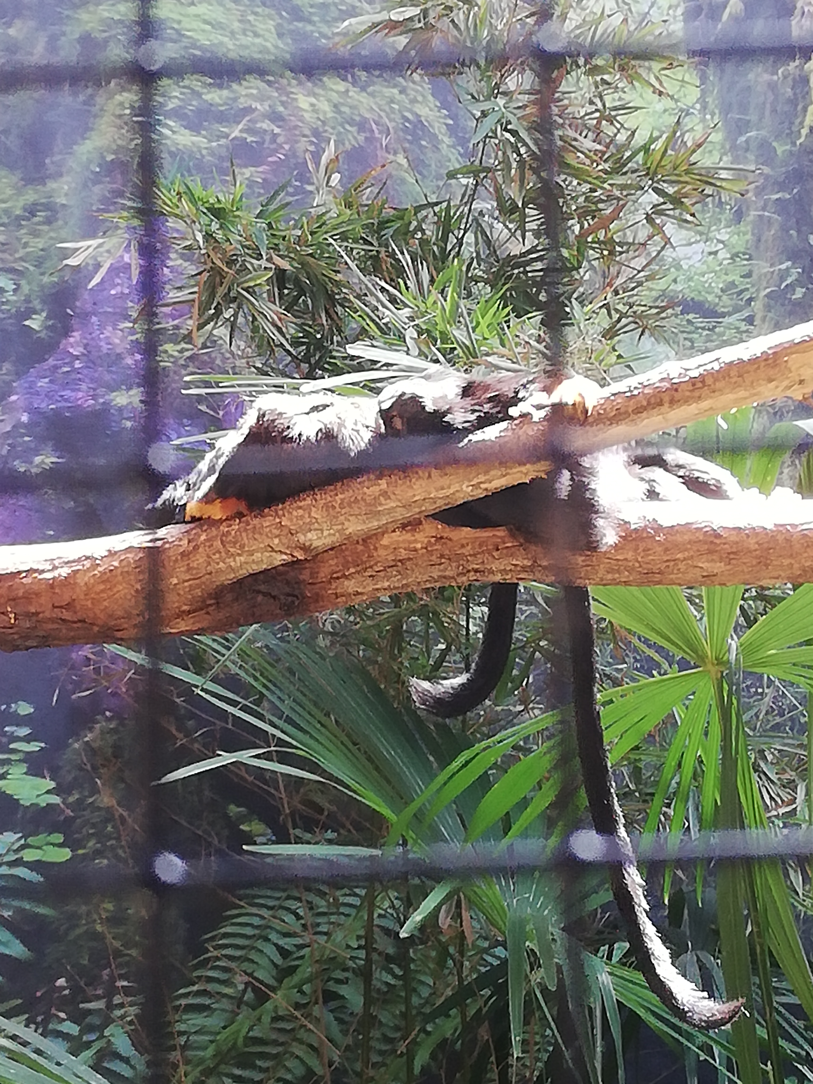 Photo n° 4 de l'avis de Soleil. fait le 20/08/2020 à 12:36