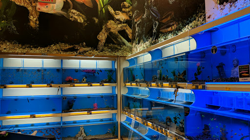 Pet Supply Store «PetSmart», reviews and photos, 5435 W TX-1604 Loop N, San Antonio, TX 78253, USA