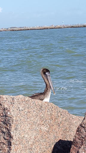 Tourist Attraction «Quintana Beach», reviews and photos, 898 2nd St, Quintana, TX 77541, USA