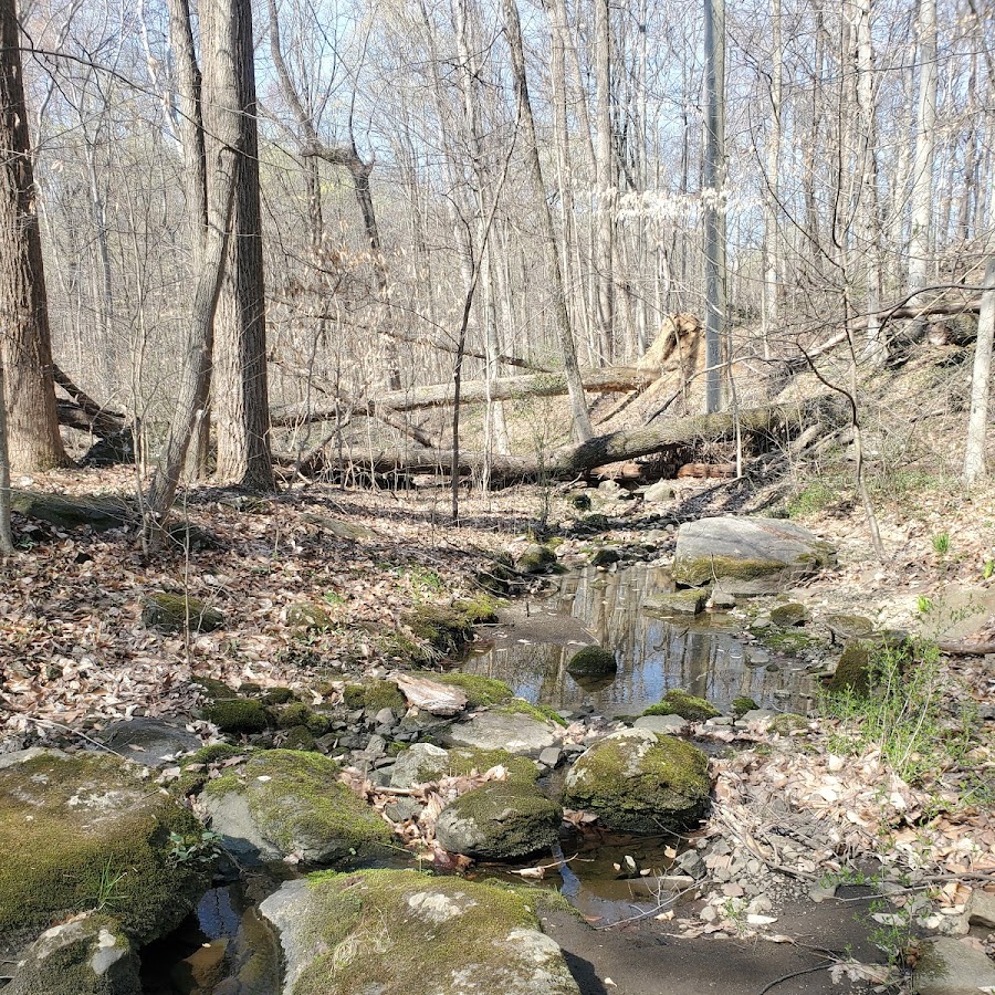 Bellaire Woods Nature Preserve