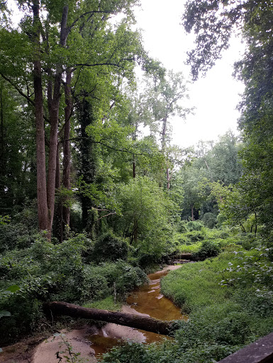 Nature Preserve «Fernbank Forest», reviews and photos, 767 Clifton Rd, Atlanta, GA 30307, USA