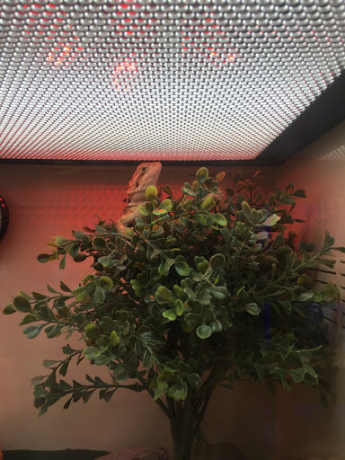 Pet Supply Store «Pet Supplies Plus», reviews and photos, 1137 Annapolis Rd, Odenton, MD 21113, USA