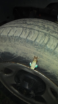 Moonlight Security, Inc. - Photo 9 - Car repair in Dayton, OH, Dayton