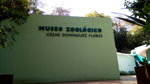 Locutorio Tuxtla Gutiérrez