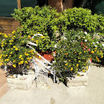 Photo n°1 de l'avis de Maria.e fait le 29/09/2019 à 14:13 sur le  Agriturismo Il Posto Delle Fragole à Forli