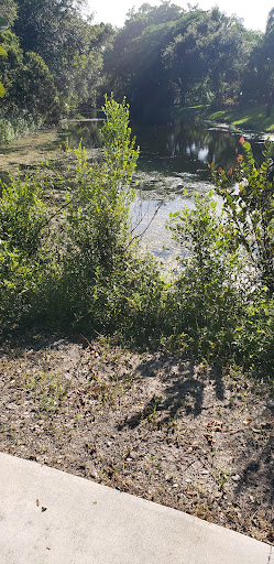 Park «Winston Park Nature Center», reviews and photos, 5201 NW 49th Ave, Coconut Creek, FL 33073, USA