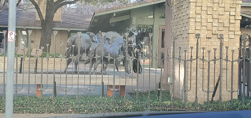 Sportswear Store «Longhorns Ltd – Official Team Store of the Texas Longhorns», reviews and photos, 2109 San Jacinto Blvd, Austin, TX 78712, USA