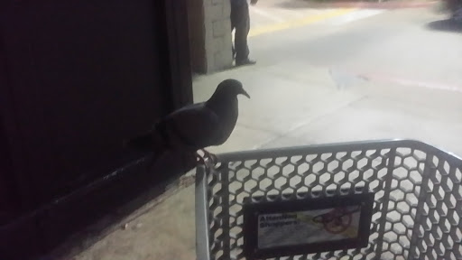 Grocery Store «Kroger», reviews and photos, 514 S Carrier Pkwy, Grand Prairie, TX 75051, USA