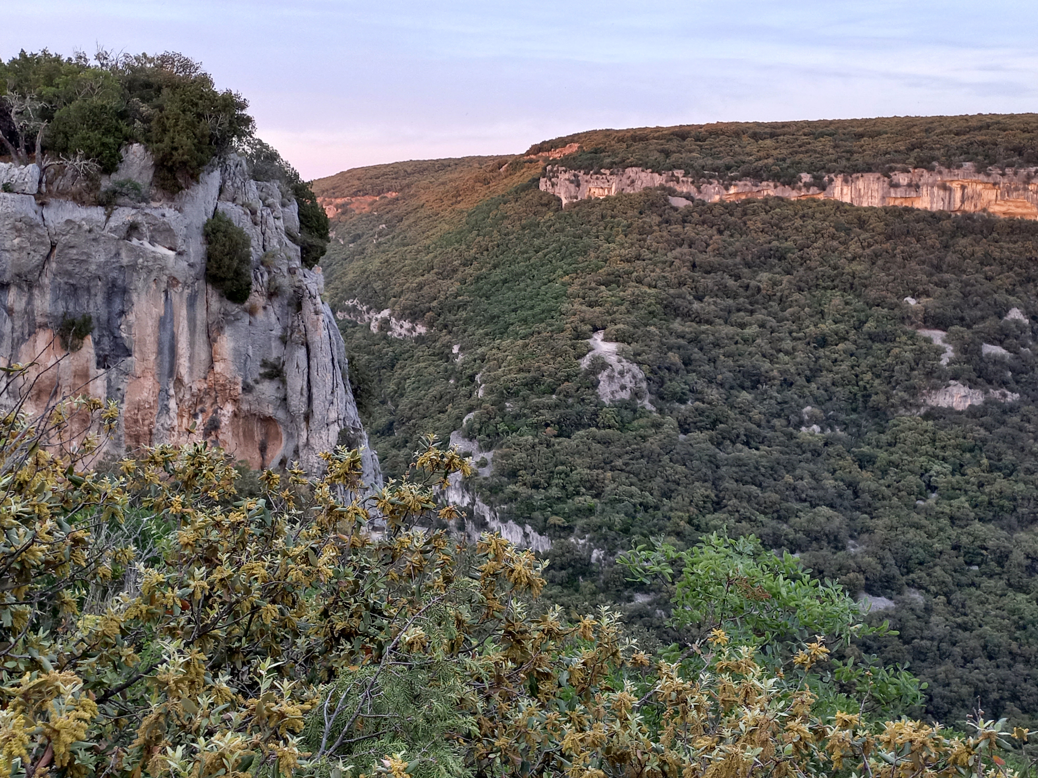 Photo n° 1 de l'avis de Isabelle.h fait le 20/05/2022 à 15:04