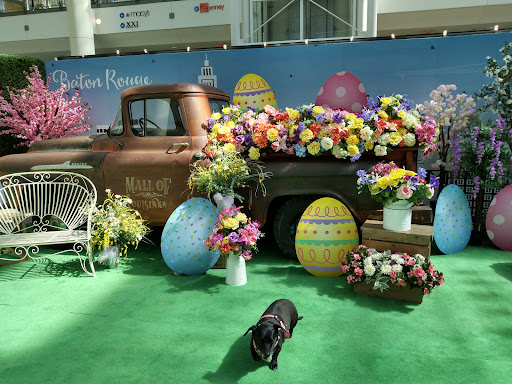 Shopping Mall «Mall of Louisiana», reviews and photos, 6401 Bluebonnet Blvd, Baton Rouge, LA 70836, USA