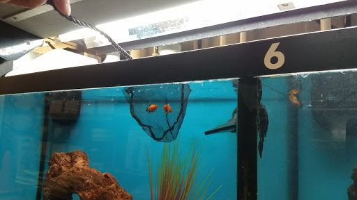 Pet Supply Store «Petco Animal Supplies», reviews and photos, 5027 Monroe St, Toledo, OH 43623, USA