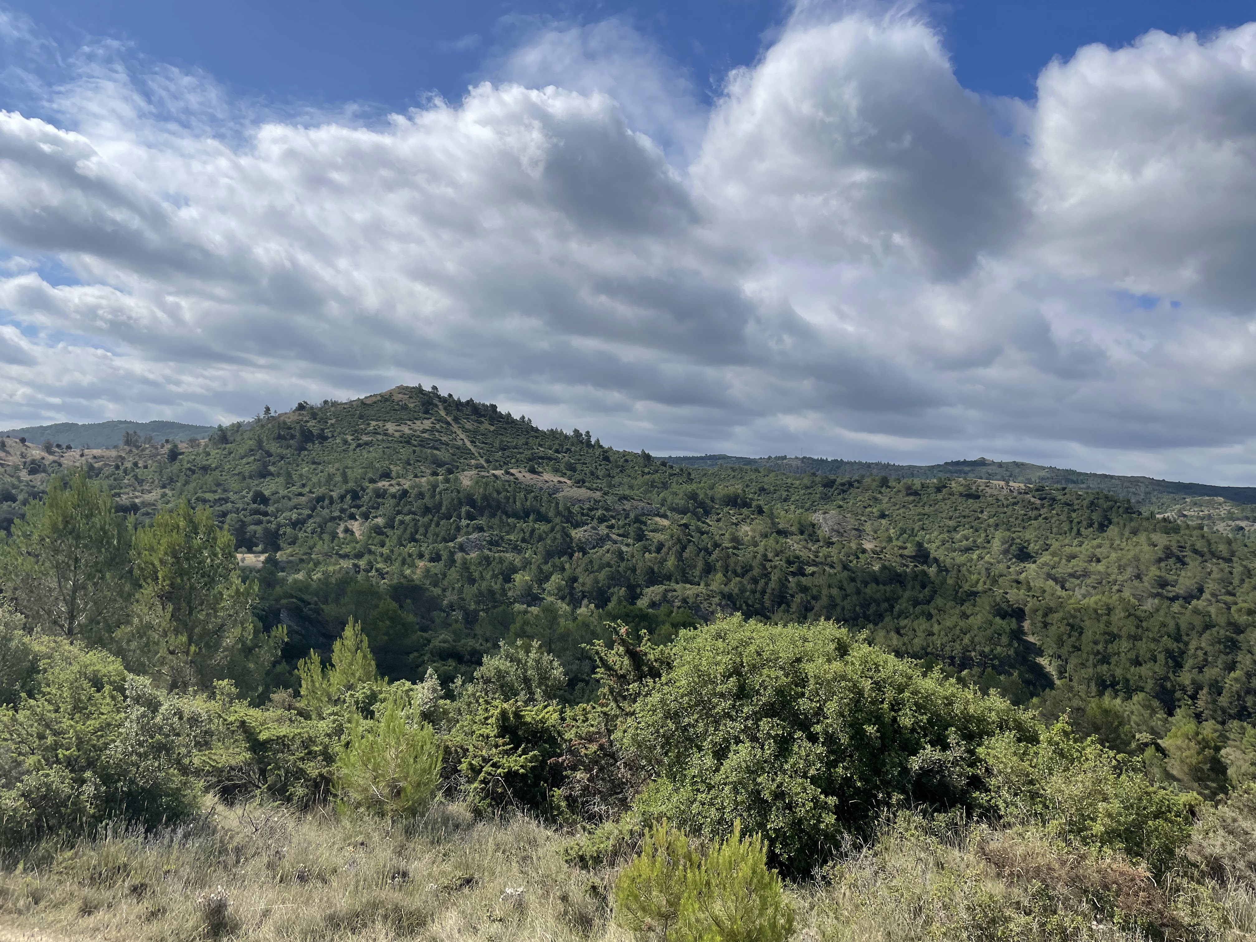 Photo n° 2 de l'avis de Océane. fait le 18/08/2021 à 15:34