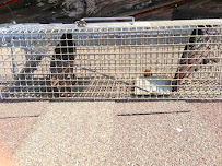 Pestilence Games - Photo 3 - Car repair in Lakeland, FL, Lakeland