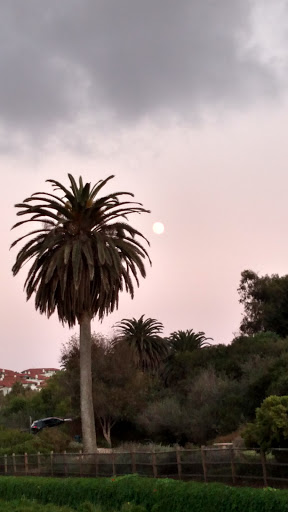 State Park «Moonlight State Beach», reviews and photos, 400 B St, Encinitas, CA 92024, USA