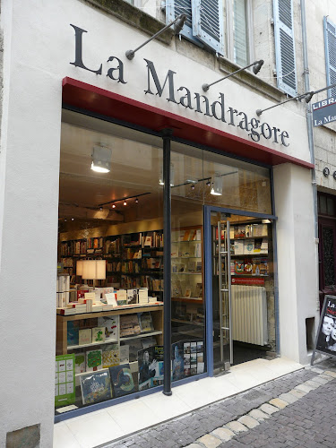 Librairie Librairie La Mandragore Périgueux