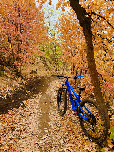 Bicycle Store «Salt Cycles Bike Shop», reviews and photos, 2073 9400 S, Sandy, UT 84093, USA