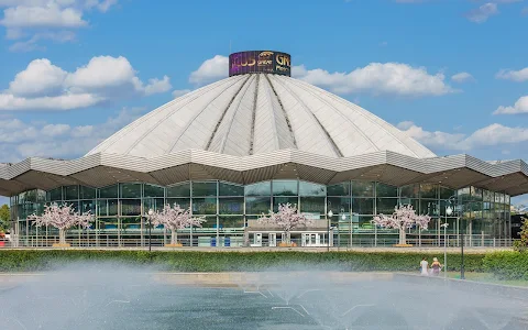 Great Moscow State Circus image