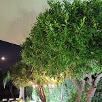 Photo n°4 de l'avis de Studio.m fait le 12/08/2022 à 08:33 sur le  Ristorante Timalù à Torregrotta