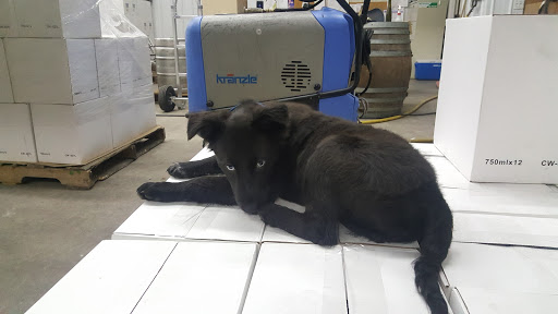 Vineyard «Unionville Vineyards», reviews and photos, 9 Rocktown Rd, Ringoes, NJ 08551, USA