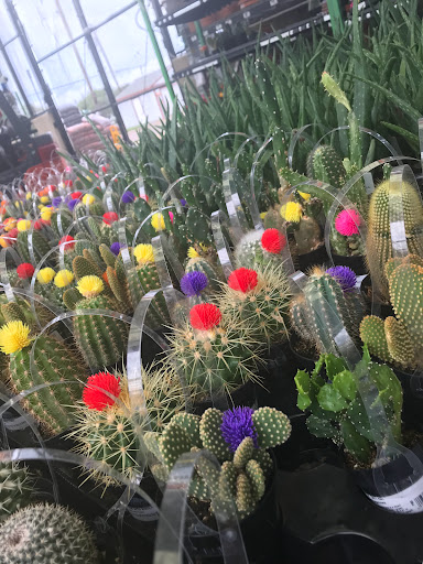 Home Improvement Store «The Home Depot», reviews and photos, 4710 S Expressway 83, Harlingen, TX 78552, USA