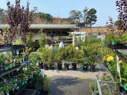 Plant nursery Daly City
