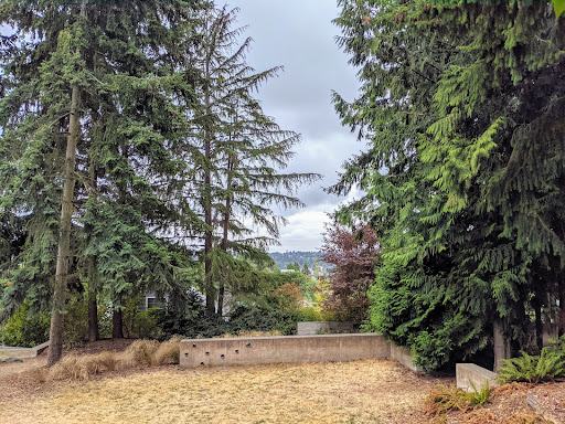 Park «Fremont Peak Park», reviews and photos, 4357 Palatine Ave N, Seattle, WA 98103, USA