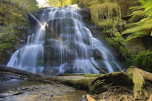 Henderson Falls image