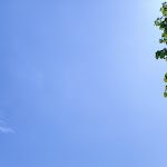 Photo n°1 de l'avis de gianluca. fait le 21/07/2023 à 21:15 sur le  Hotel Acropolis Cattolica à Rimini