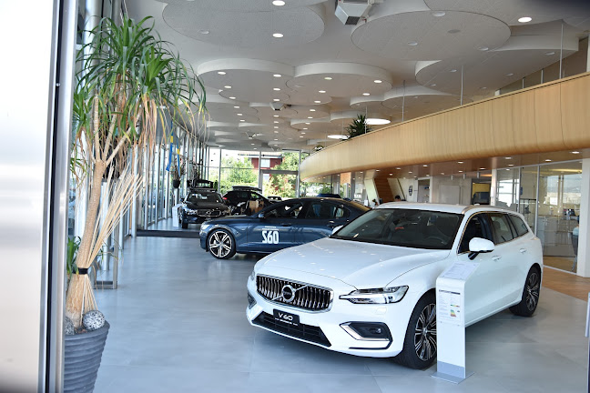 Rezensionen über Bohny Automobile AG in Thun - Autowerkstatt