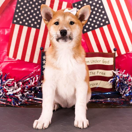 Pet Store «Pet Planet», reviews and photos, 11968 S Redwood Rd, Riverton, UT 84065, USA