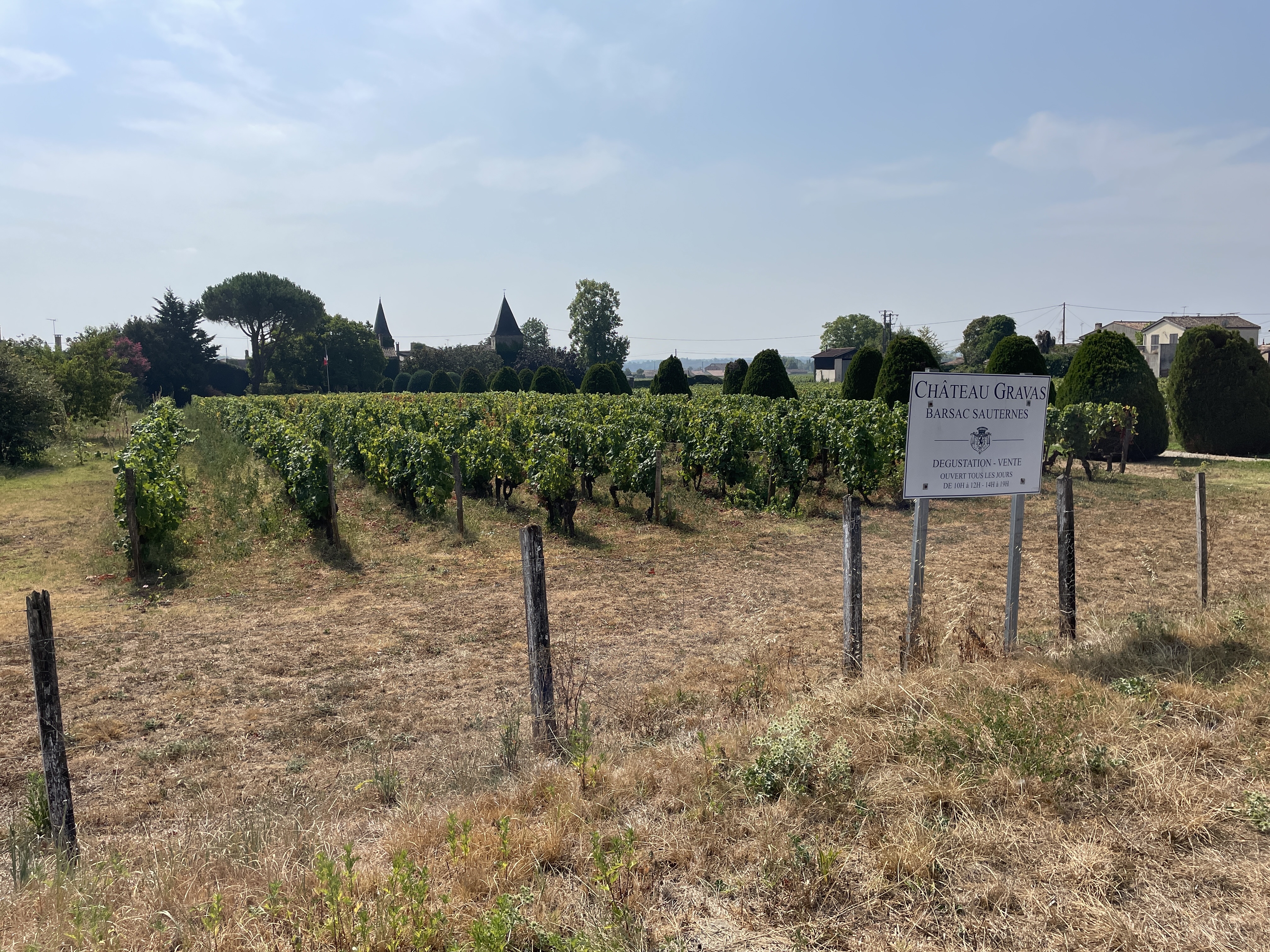 Photo n° 1 de l'avis de Léo. fait le 13/08/2022 à 15:39